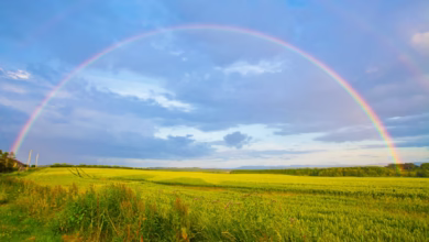 green grass field under white clouds and rainbow