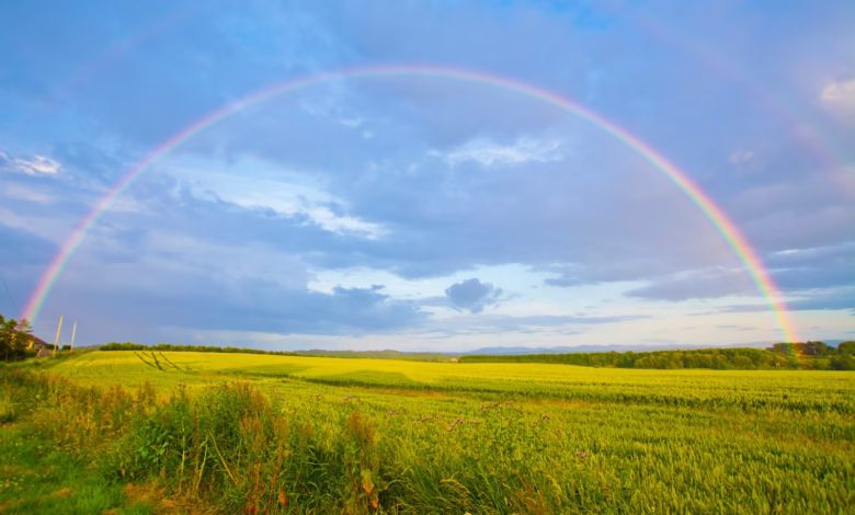 green grass field under white clouds and rainbow