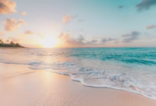 seashore during golden hour