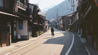 A person rides a bike down a quiet street.