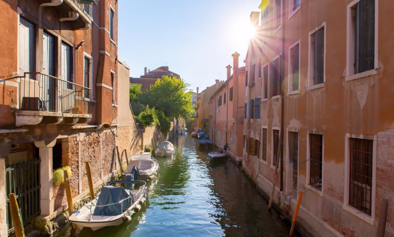 venice, street, water, nature, italy