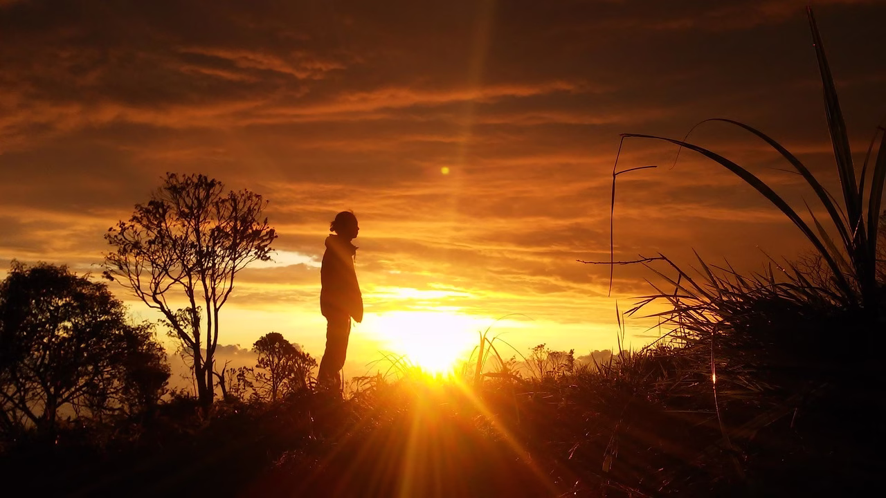silhouette, man, alone, person, nature, dark, freedom, landscape, sky, praying, outdoors, orange, brown alone, brown pray