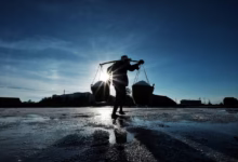 man, worker, buckets, salt, sunset, countryside, nature, job, silhouette