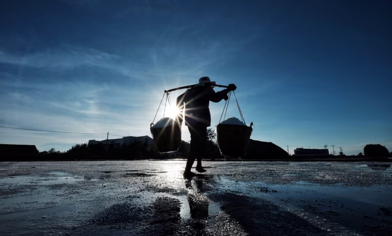 man, worker, buckets, salt, sunset, countryside, nature, job, silhouette