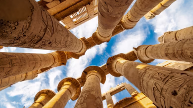 low angle photography of brown concrete building under blue sky during daytime