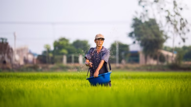 man holding basket
