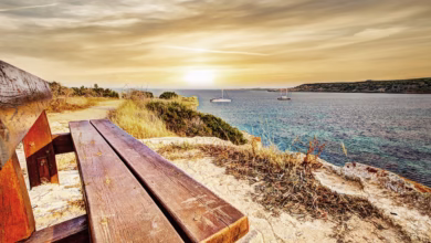 outlook, landscape, sea, cyprus, nature, sunset, bench, wooden bench, ocean, water, outdoors