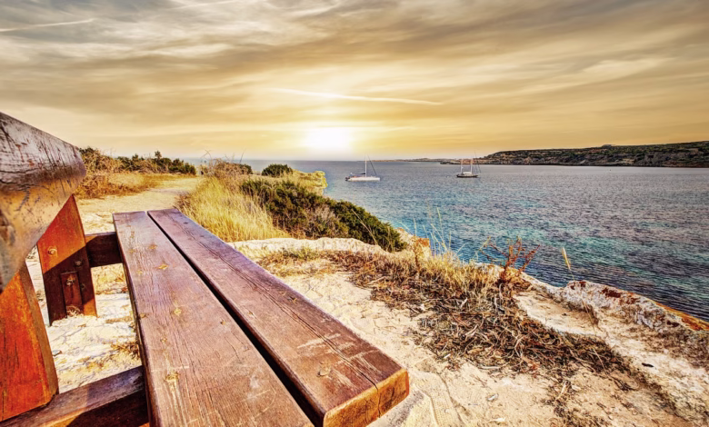outlook, landscape, sea, cyprus, nature, sunset, bench, wooden bench, ocean, water, outdoors