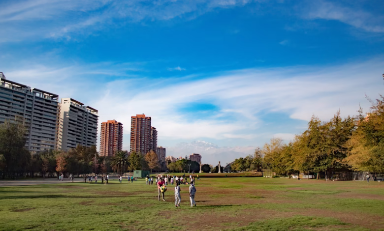 a group of people standing on top of a lush green field