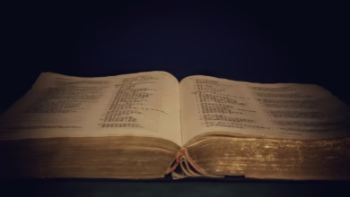 opened book on brown wooden table