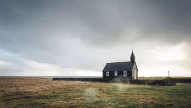 church surrounded by grass