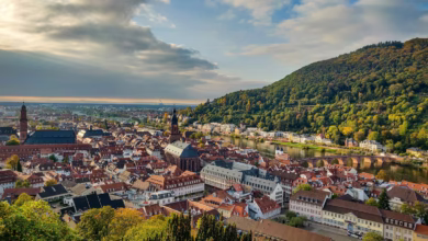 aerial view of city buildings near green mountain during daytime