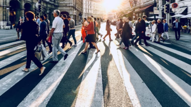 group of people walking on pedestrian lane