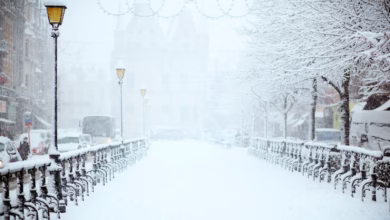 road covered by snow near vehicle traveling at daytime