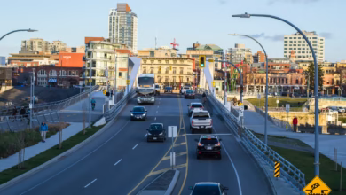 cars on road during daytime