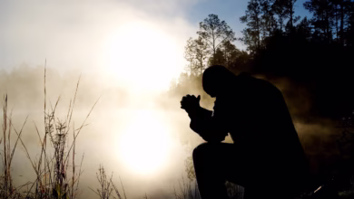 man, fog, silhouette, kneeling, kneel, pray, praying, male silhouette, praying man, prayer, foggy, misty, haze, mist, dawn, dusk, landscape, outdoors, person, pray, pray, pray, praying, praying, prayer, prayer, prayer, prayer, prayer