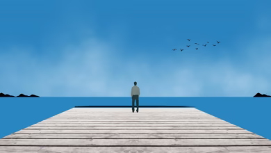 lonely, alone, man, person, silhouette, sea, horizon, nature, birds, dock, ocean, lonliness