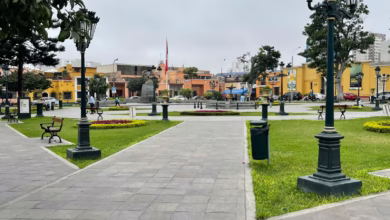 A couple of street lights sitting on top of a green field