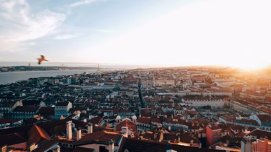 aerial photography of city during daytime
