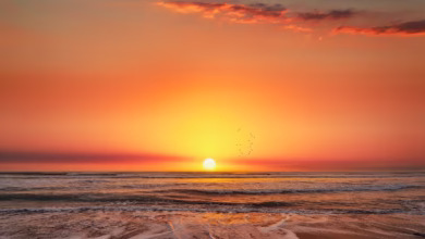 sunset, sea, beach, clouds, calm, waves, sand, relaxation, romance, orange, sky, dawn, tide, silence, sun, glowing, natural beauty, serenity