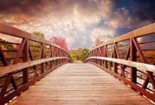 bridge, nature, fall, river, evening, scenic, autumn, colors, wooden, beautiful, nature wallpaper, brown nature, brown beauty, brown wallpaper, brown river, brown bridge, brown color, brown natural, bridge, bridge, bridge, bridge, bridge, fall, autumn