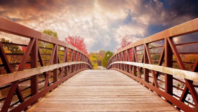 bridge, nature, fall, river, evening, scenic, autumn, colors, wooden, beautiful, nature wallpaper, brown nature, brown beauty, brown wallpaper, brown river, brown bridge, brown color, brown natural, bridge, bridge, bridge, bridge, bridge, fall, autumn