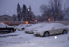 winter, cars, parking, snow, covered, snowy, frozen, nature, minnesota, minneapolis