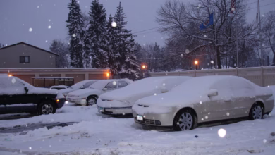 winter, cars, parking, snow, covered, snowy, frozen, nature, minnesota, minneapolis