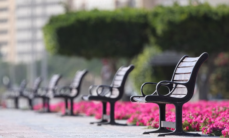 bench, seat, social, distance, park, sit, empty, bench, bench, bench, bench, bench, social, social, distance, distance, distance, empty