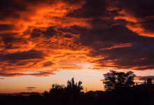 sunset, nature, brasil, brazil, landscape, sea, clouds, outdoor, silhouette, orange