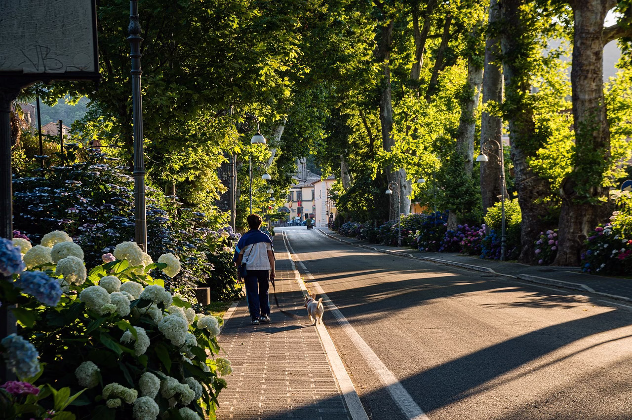 street, walk, dog, person, green, fire path, bolsena city, italy, fresh, animal, natural, pet, bolsena tourism