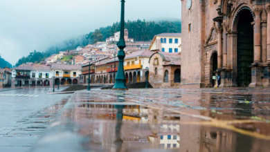 a wet street with a lamp post and buildings in the background