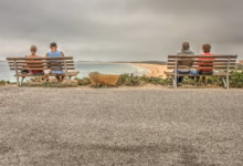 People seated on park benches overlooking a scenic beach with ocean view.