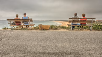 People seated on park benches overlooking a scenic beach with ocean view.