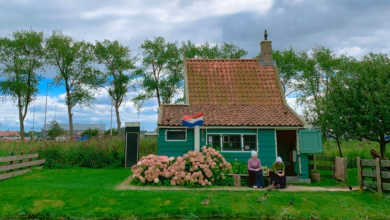 Quaint green cottage with Dutch flag surrounded by nature and pink flowers.