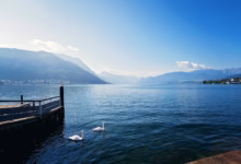 Serene morning by a tranquil lake with swans, surrounded by mountains and a clear blue sky.