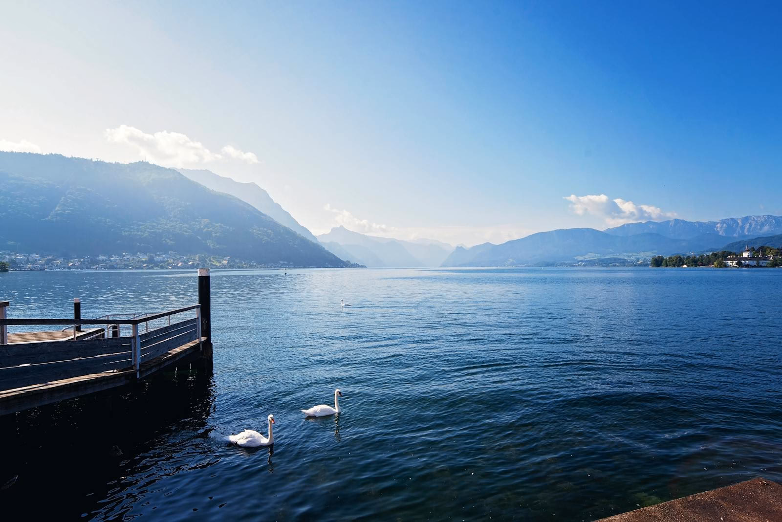 Serene morning by a tranquil lake with swans, surrounded by mountains and a clear blue sky.
