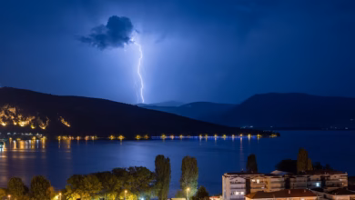 night, thunders, nature, lights, lake, trees, atmosphere