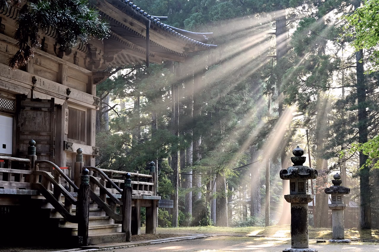 sun rays, forest, koyasan temple, nature, fog, sun beams, trees, japan