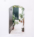 black wooden door near green plant