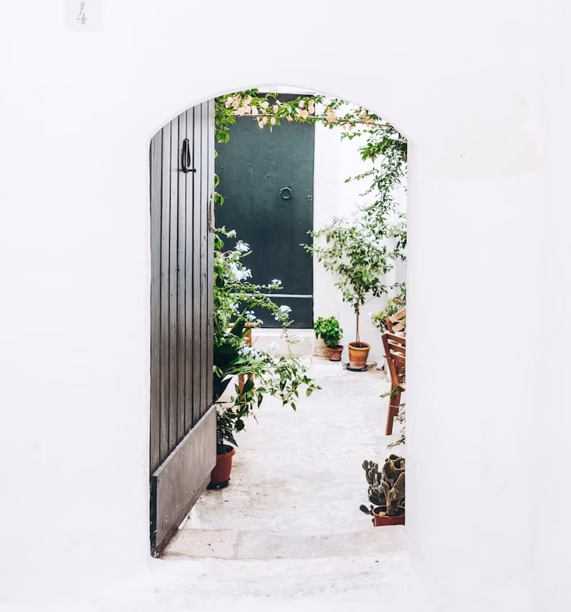 black wooden door near green plant