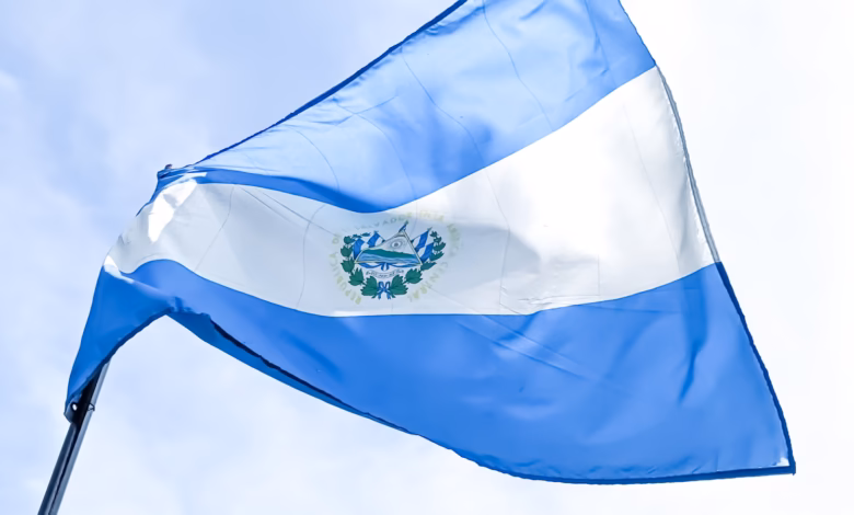 a blue and white flag flying in the sky