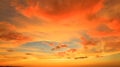 silhouette photo of body of water under orange clouds