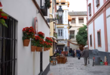 people walking on street during daytime