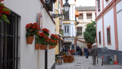 people walking on street during daytime