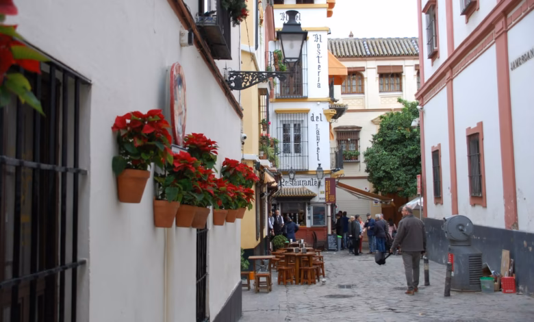 people walking on street during daytime