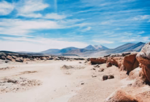 a dirt road in the middle of a desert