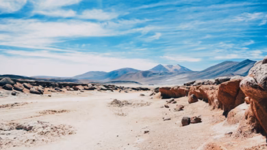 a dirt road in the middle of a desert