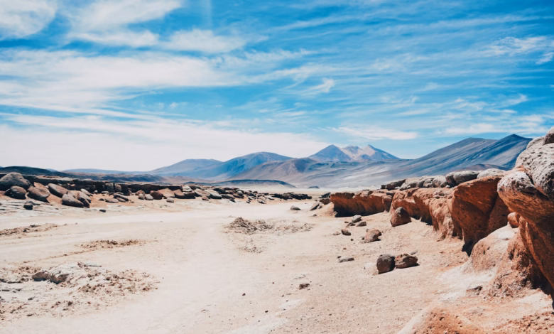 a dirt road in the middle of a desert
