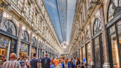 department store, shopping mile, shopping, store window, department stores, architecture, consumption, building, department store, department store, department store, department store, department store